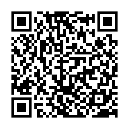 QR code for IIK375