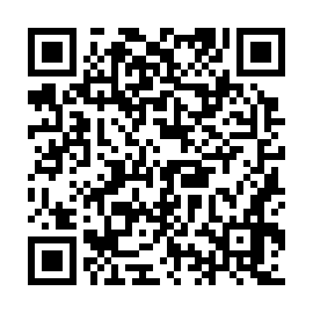 QR code for IIK376