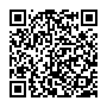 QR code for IIL919