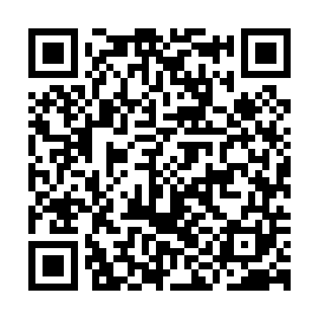 QR code for IIM041
