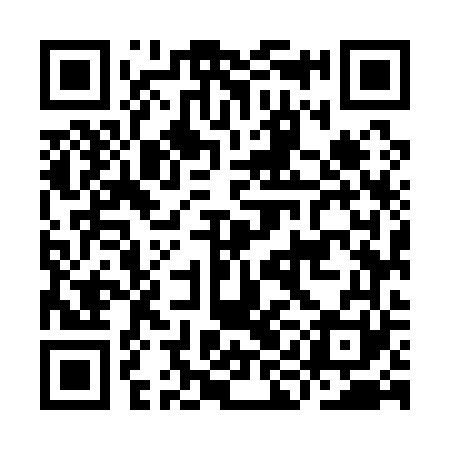 QR code for IIM161