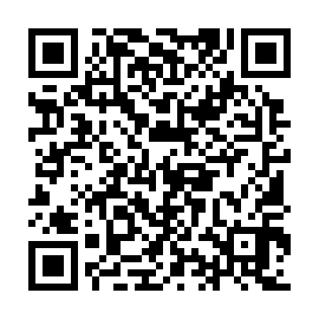 QR code for IIM310
