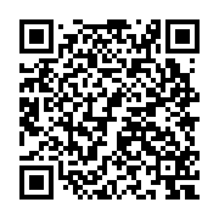 QR code for IIM316