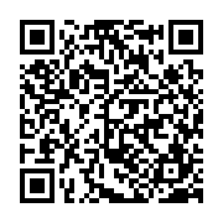 QR code for IIM326