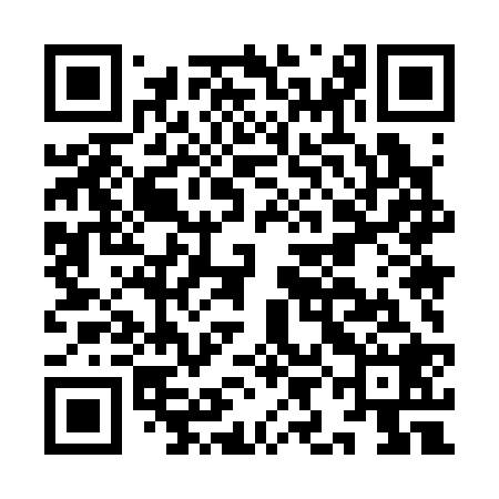 QR code for IIM328