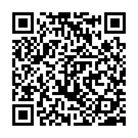 QR code for IIM389