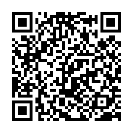 QR code for IIM489