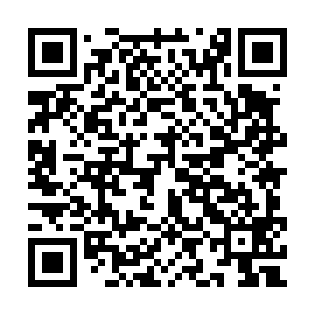 QR code for IIM499