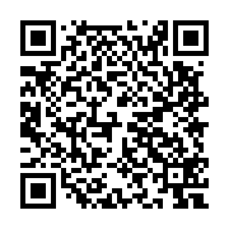 QR code for IIM519