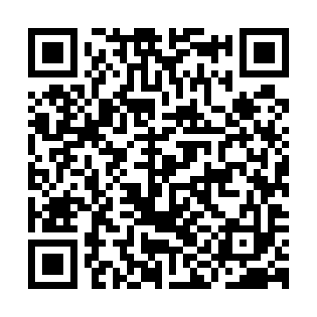 QR code for IIM593
