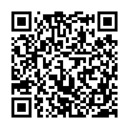 QR code for IIM666