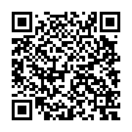QR code for IIN029