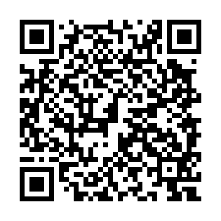 QR code for IIN093