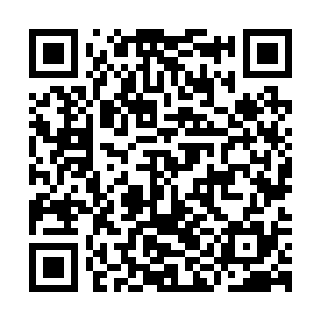 QR code for IIN235