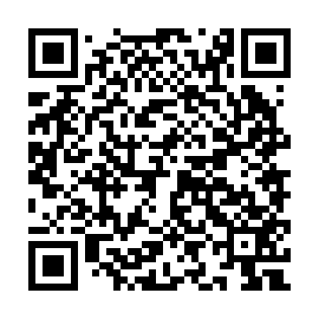 QR code for IIN253