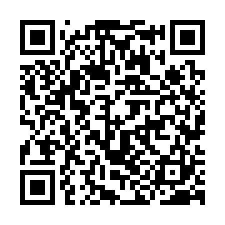 QR code for IIN323