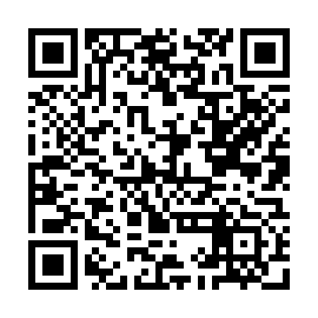 QR code for IIN373