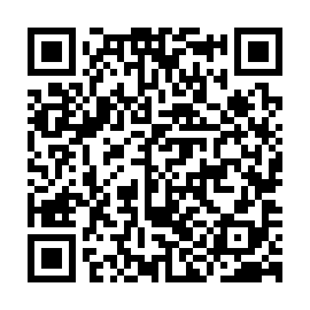 QR code for IIN398