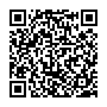 QR code for IIN514