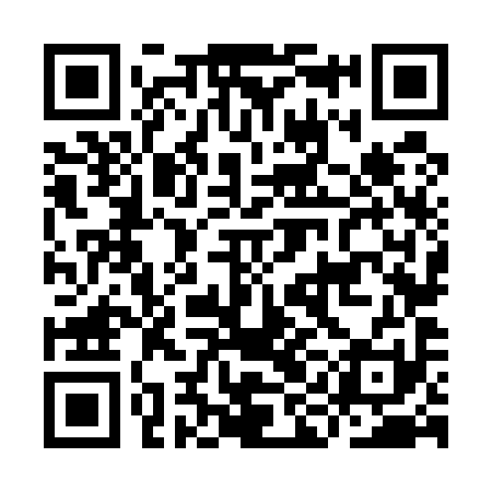 QR code for IIN591