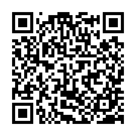 QR code for IIN787