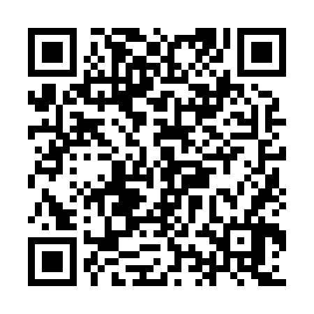 QR code for IIN866
