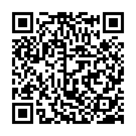 QR code for IIN878