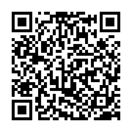 QR code for IIN933