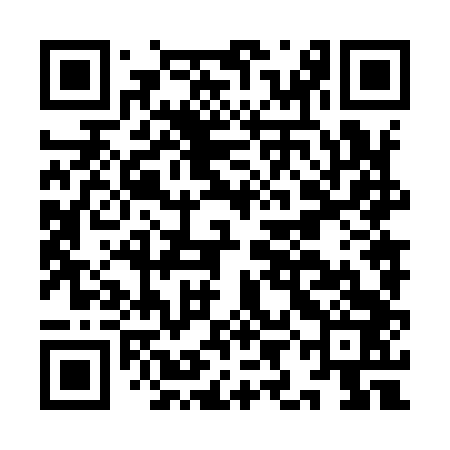 QR code for IIN943