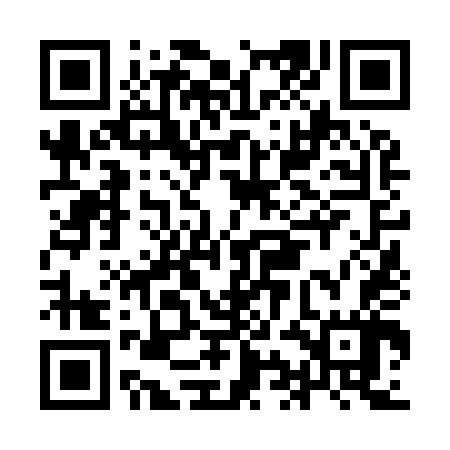 QR code for IIN947