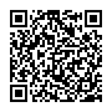 QR code for IIO317