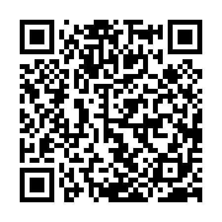 QR code for IIP010