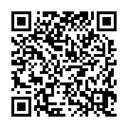 QR code for IIP285