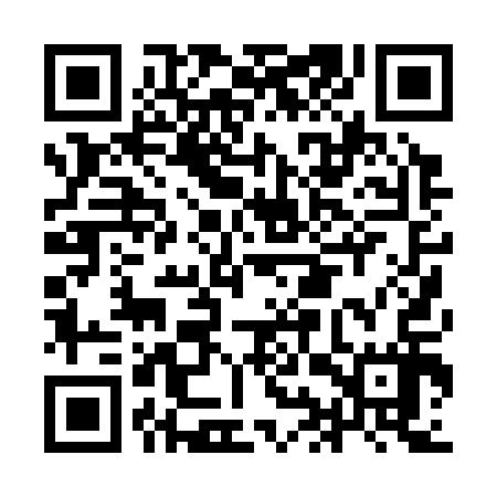 QR code for IIP317