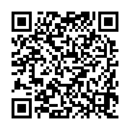 QR code for IIP390