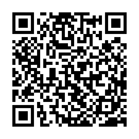 QR code for IIP560