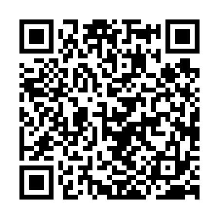 QR code for IIP633