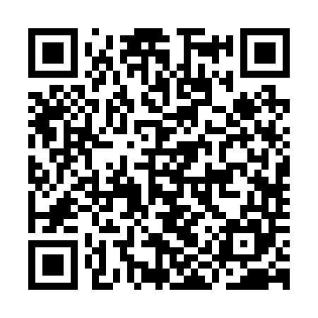 QR code for IIR245