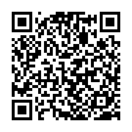 QR code for IIR325