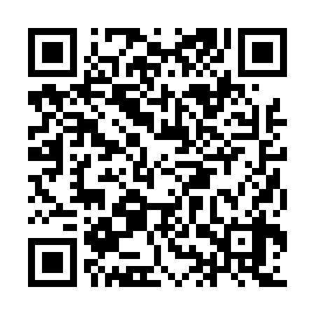 QR code for IIR438