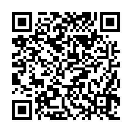QR code for IIR546