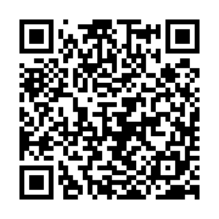 QR code for IIR555
