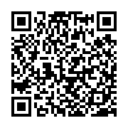 QR code for IIR601