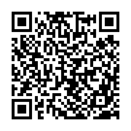 QR code for IIR666
