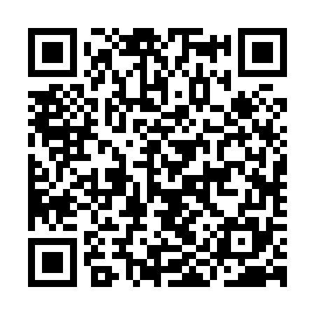 QR code for IIR875