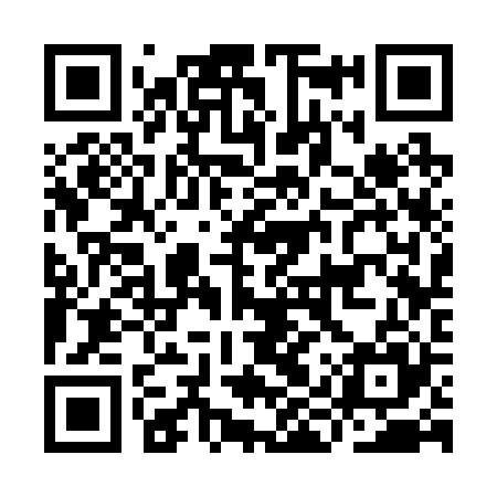 QR code for IIS225