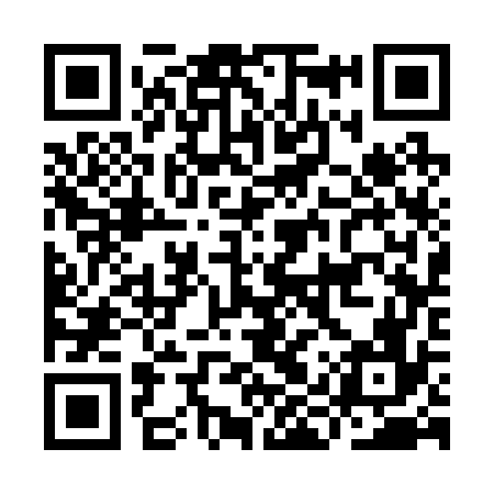 QR code for IIS276