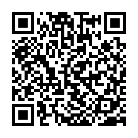 QR code for IIS368