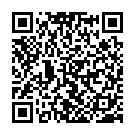 QR code for IIS371