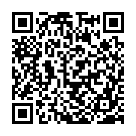 QR code for IIS376